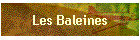 Les Baleines